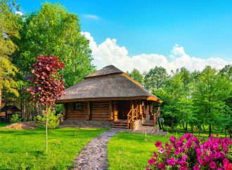 Kuchnia i kultura w domku leśnym: Integracja lokalnych produktów i tradycyjnych przepisów z relaksem w saunie i jacuzzi